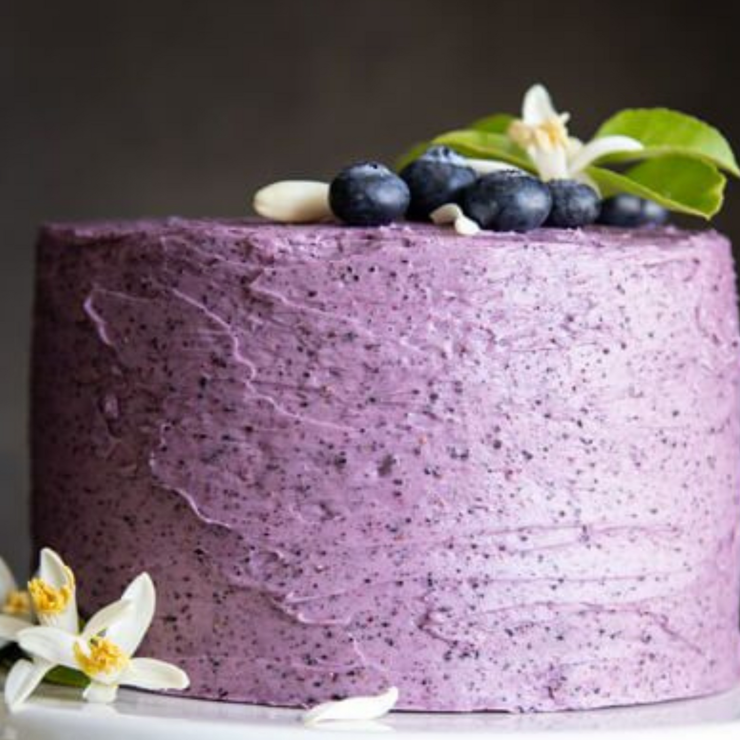 Blueberry Designer Cake