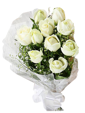 Beautiful White Roses Flowers